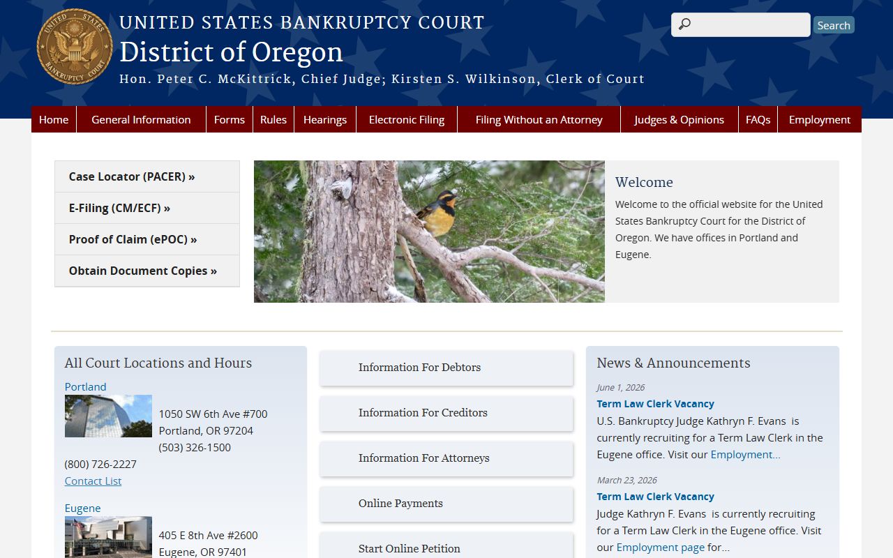 Lane County court records federal bankruptcy court page
